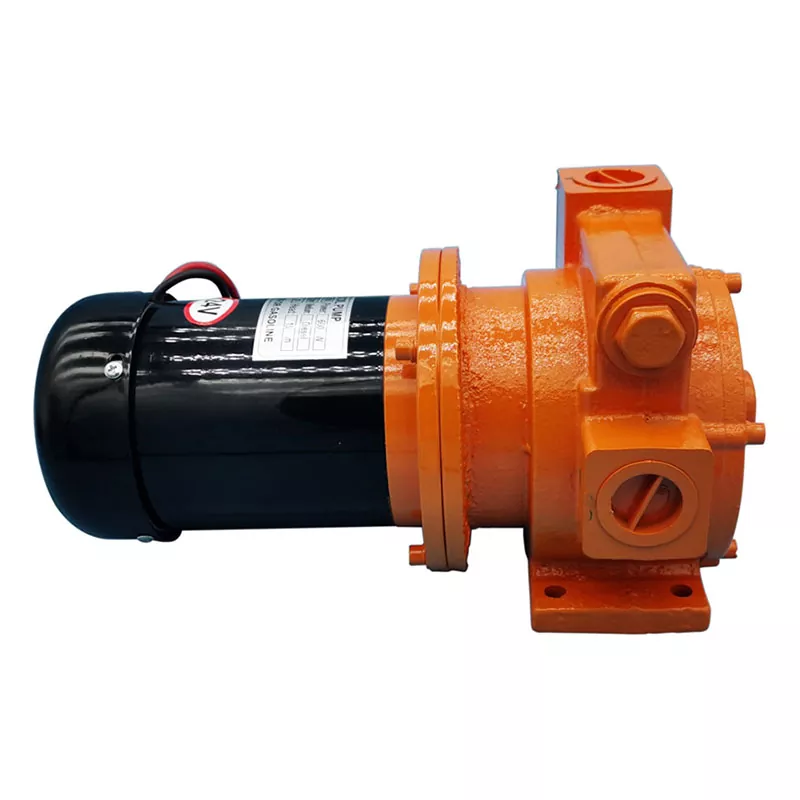 ປັ Dion Conum Pump